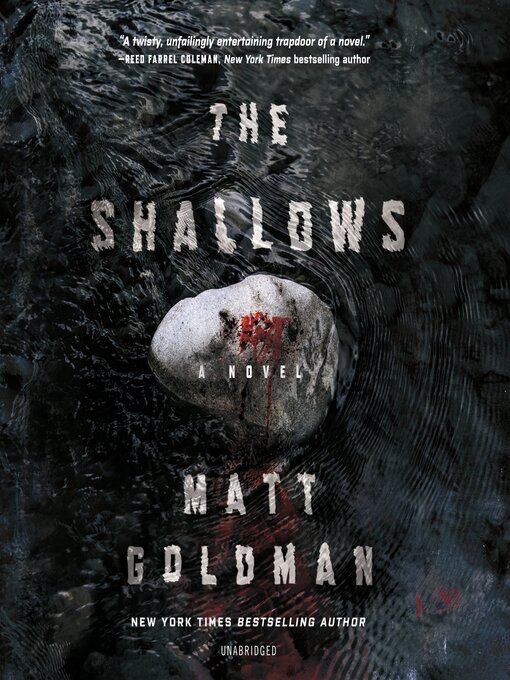 Title details for The Shallows by Matt Goldman - Wait list